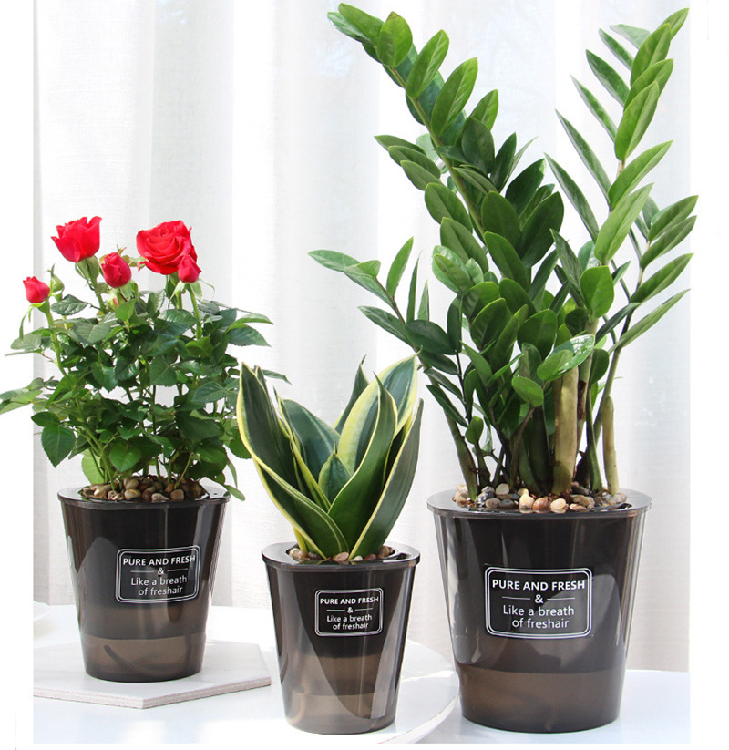 Aloe Vera Pot - Automatische Waterabsorberende Bloempot Zelfbewatering Bloempot Luie