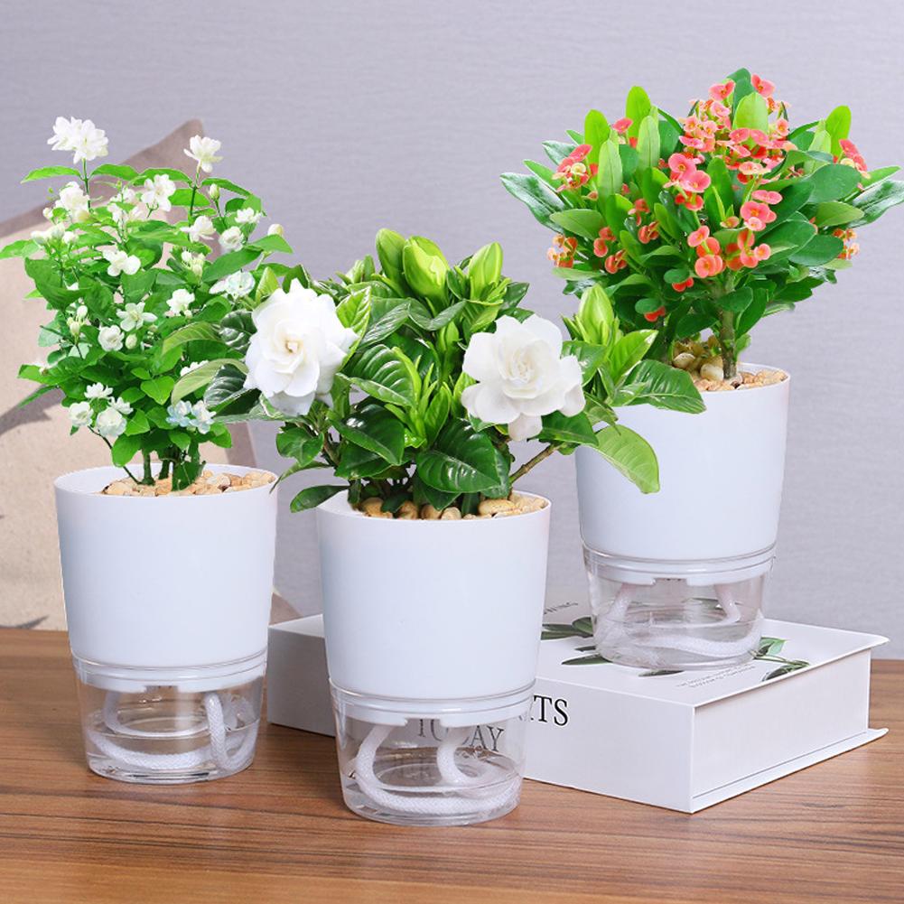 Aloe Vera Pot - Zelfwatergevende Plastic Bloempot 3 Maten Dubbellaags