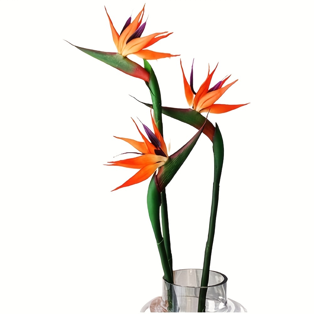 3pcs Kunstmatige Paradijsvogel - Bird Paradise Strelitzia recensie en prijs