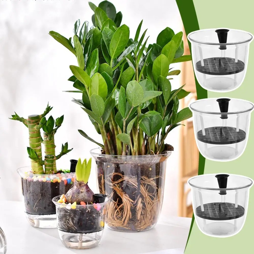 2 stuks zelfwatergevende potte - Aloe Vera Pot recensie en prijs