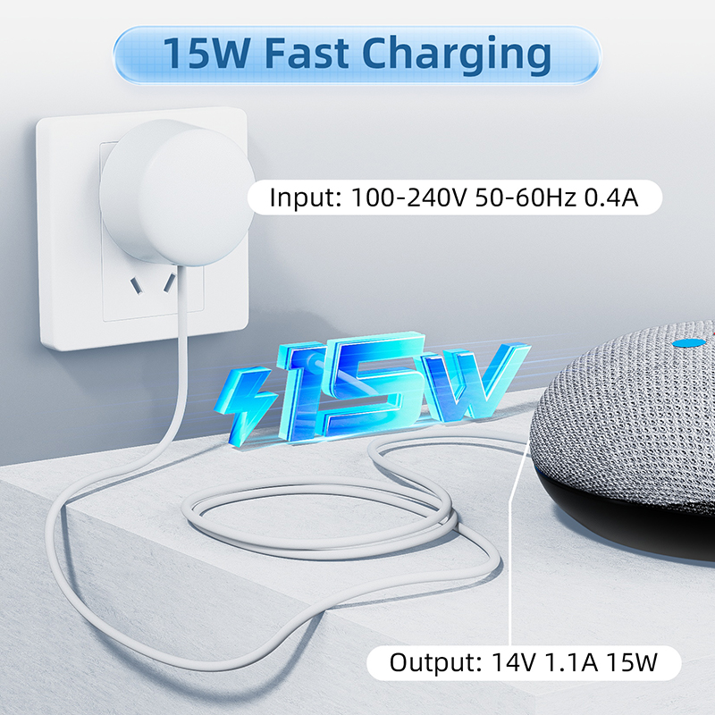 15W OEM-oplader voor Google Ne - Google Speaker Nest Mini recensie en prijs