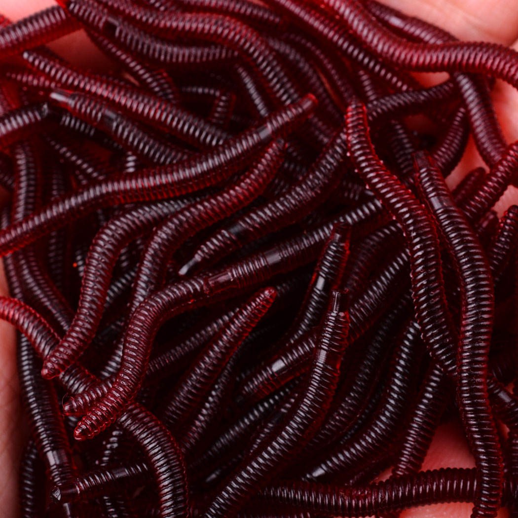 50Pcs Levensechte Rode Worm Za - Aglaonema Red recensie en prijs