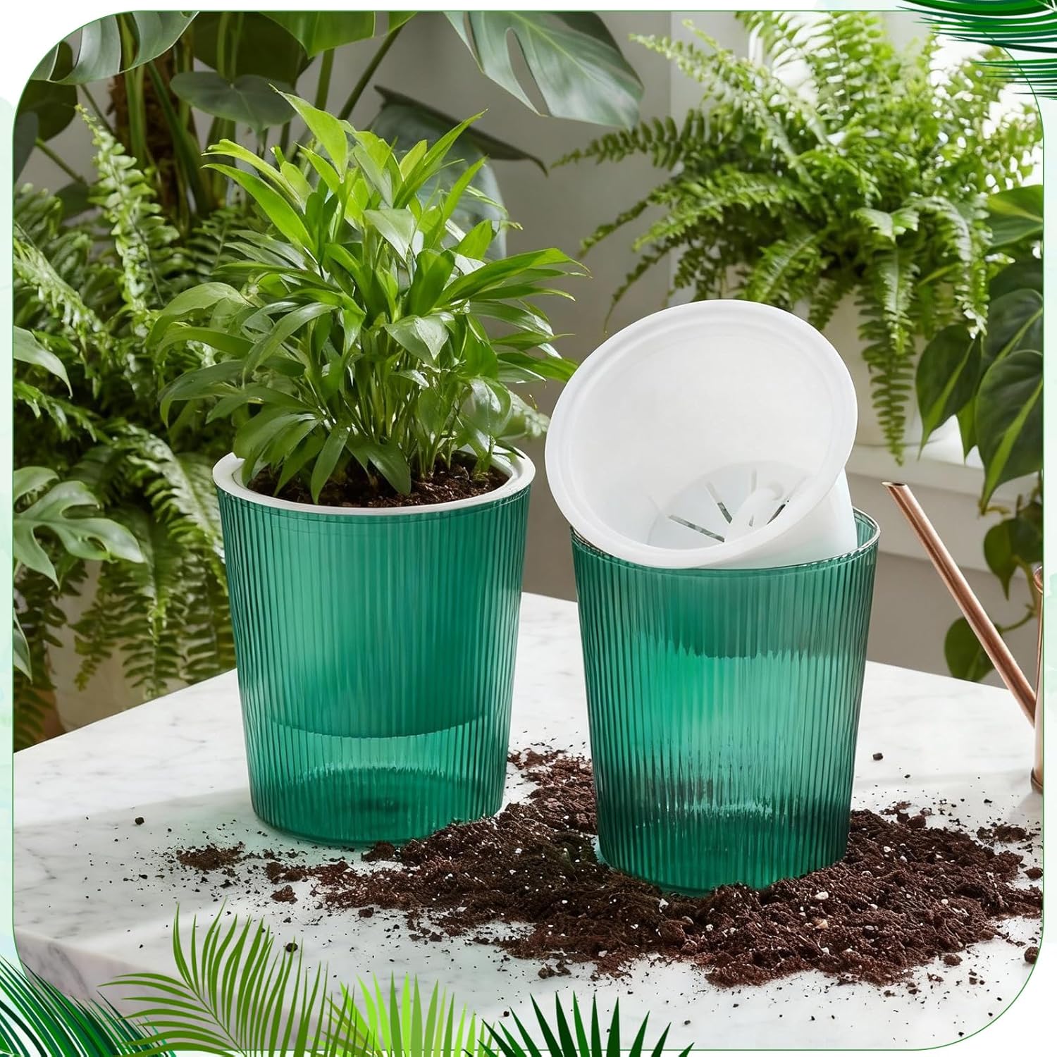 Duidelijke zelfwaterende plant - Aloe Vera Pot recensie en prijs