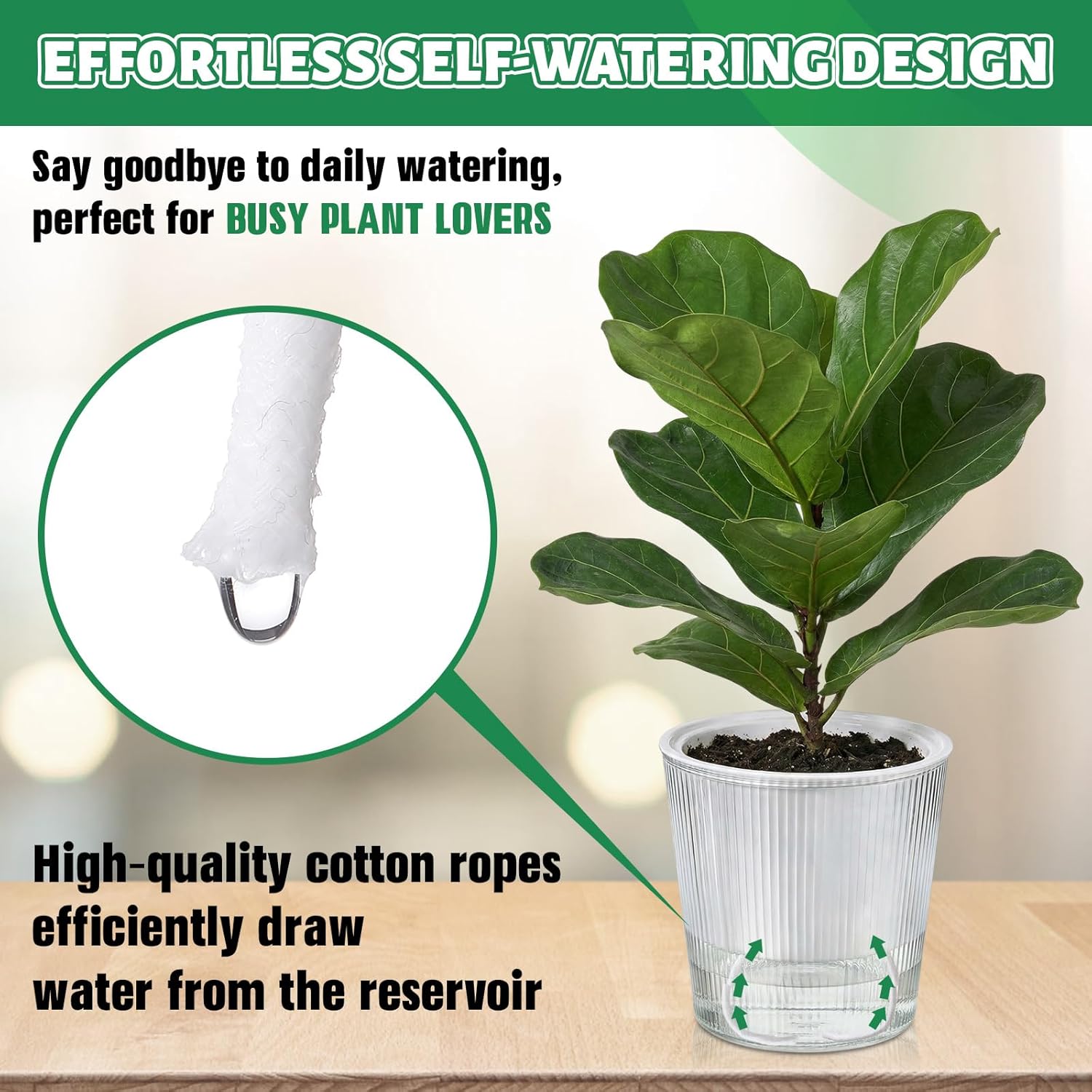 Duidelijke zelfwaterende plant - Aloe Vera Pot recensie en prijs
