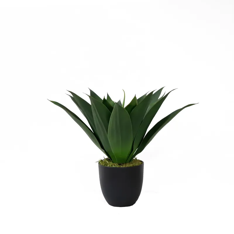 Kunstmatige Aloë Vera plant in - Aloe Vera Pot recensie en prijs